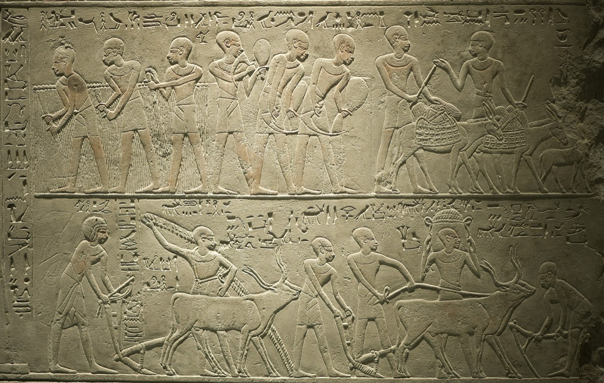 Les reliefs égyptiens d'un tombeau antique