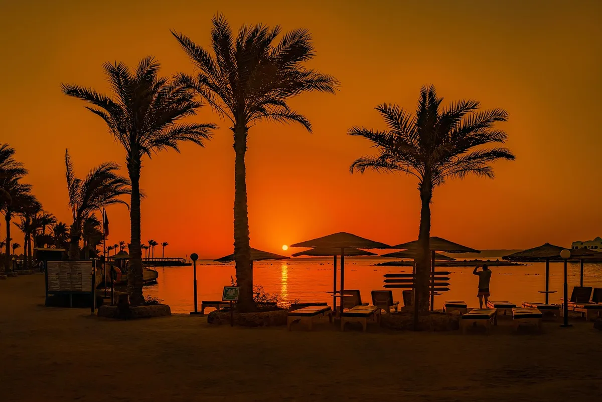 sunset, palm trees, beach, africa, egypt, sand, hurghada, red sea, nature, water, sea, summer, tourism, travel, lounger